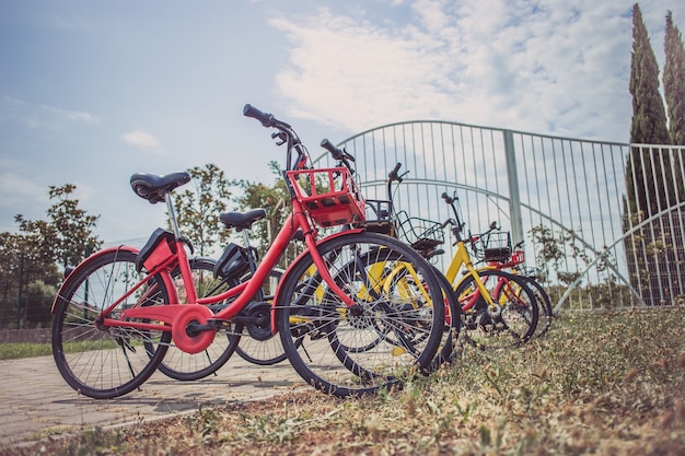 Bicycles stand in a row on a parking for rent