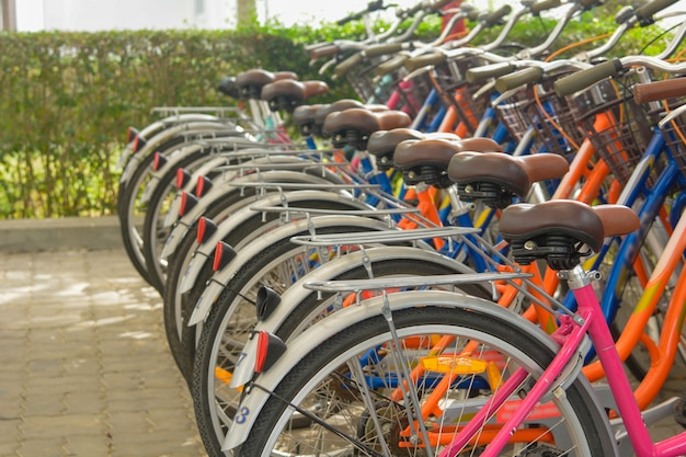 Bicycles that are lined up in rows In the bicycle park