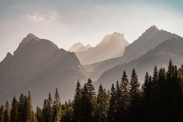 Photo bielovodska valley in high tatras mountains slovakia slovakia mountains landscape autumn colors