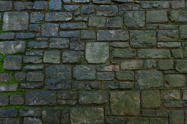 Big amount of green moss on a stone brick wall