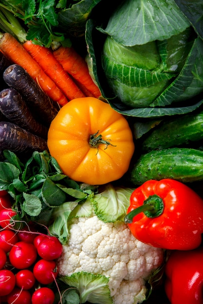 Big Basket with different Fresh Farm Vegetables. Harvest.