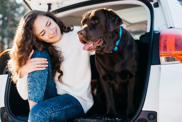 Big black dog in car