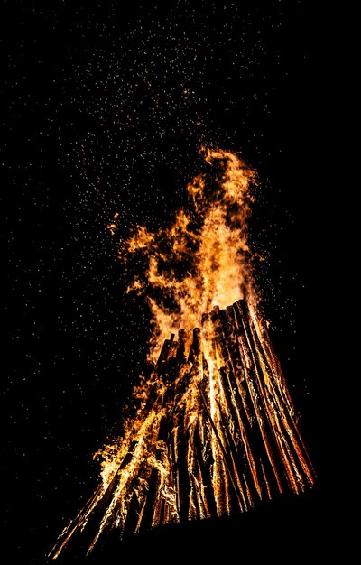 Photo big bonfire at night. fire flames on black background