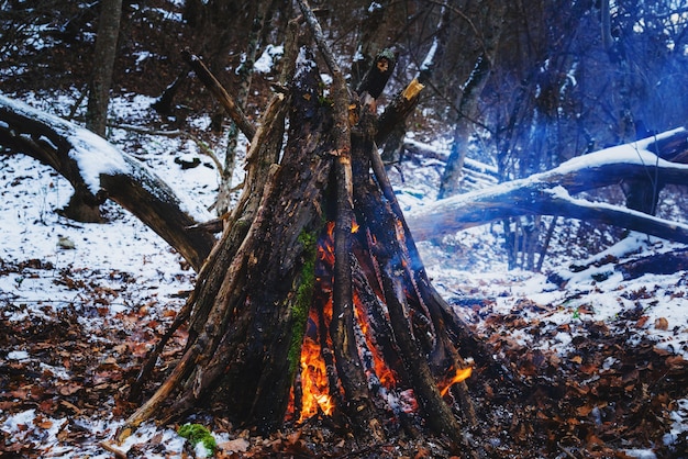 Big bonfire in the winter forest during the day