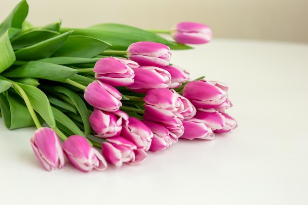 A big bouquet of beautiful pink tulips lies on a white background copy space