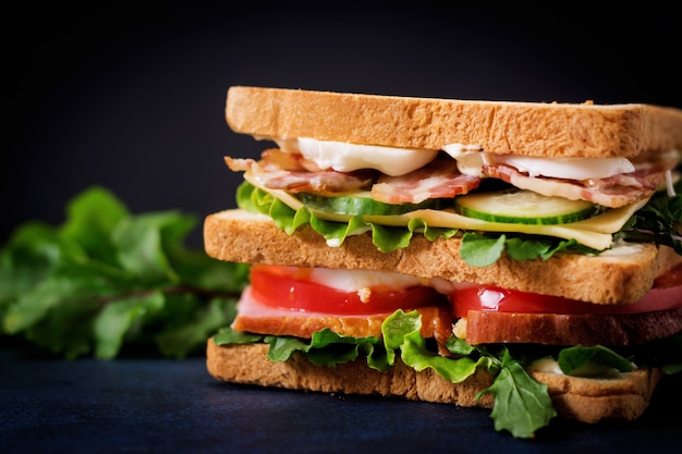 Big Club sandwich with ham, bacon, tomato, cucumber, cheese, eggs and herbs on dark background