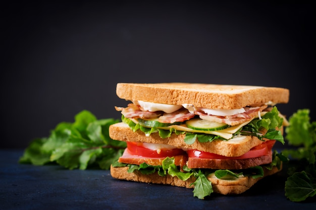 Big Club sandwich with ham, bacon, tomato, cucumber, cheese, eggs and herbs on dark table