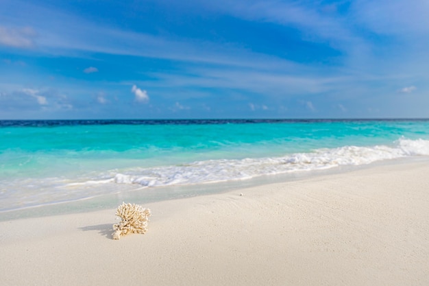 Photo big coral on sandy beach, sea waves surf. idyllic tropical nature pattern, summer travel landscape