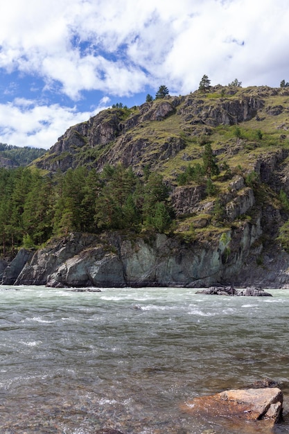 A Big fast-flowing wide and full-flowing mountain river. Large rocks stick out of the water.