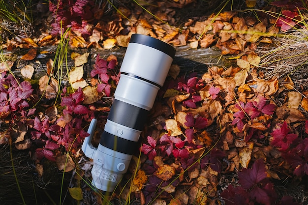 Big gray longfocus lens or telephoto lens lies on log with autumn leaves