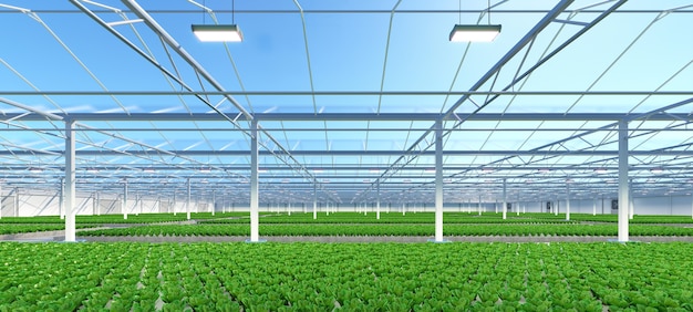 Big industrial greenhouse interior. Hydroponic indoor vegetable plant factory. Green salad farm. Concrete floor. 3D render