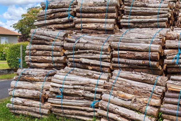 Big pile of wood logs