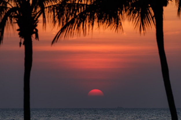 Big red sunset with coconut tree silhouette.