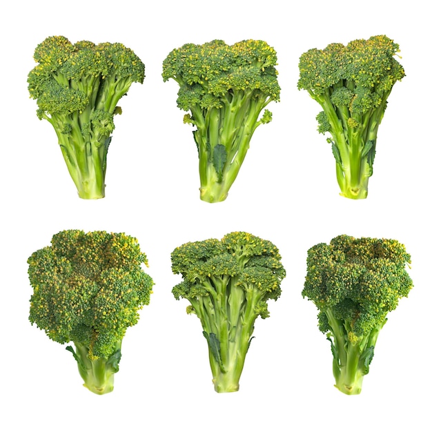 Big set of fresh broccoli with isolated on black background