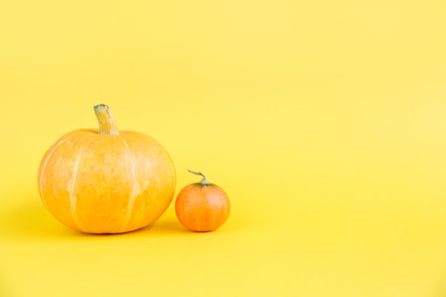 Big and small fresh pumpkins on yellow paper background.