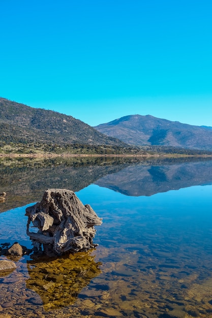 A big trunk of an old tree on the shore of a lake with calm water and reflection of the mountains in the background