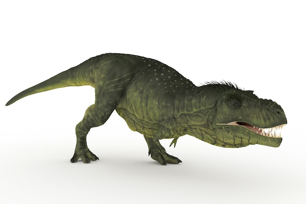 Big tyrannosaurus set of angles 3D illustration