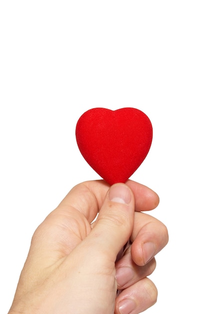 Big valentine heart in hand isolated on white