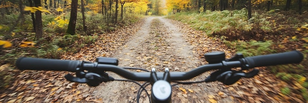 Photo bike ride through a forest trail