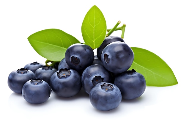 Bilberry isolated on white background