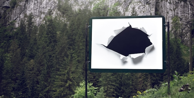 Billboard for advertising poster with torn paper hole on background of green forest.