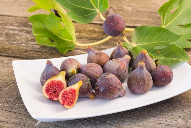 Bio big Figs tree in white background