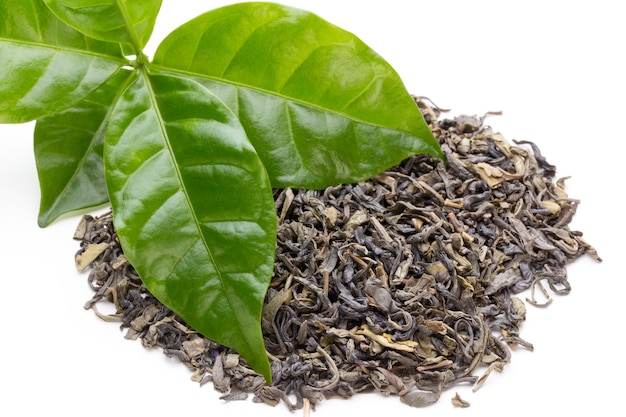 Bio green tea leaf isolated