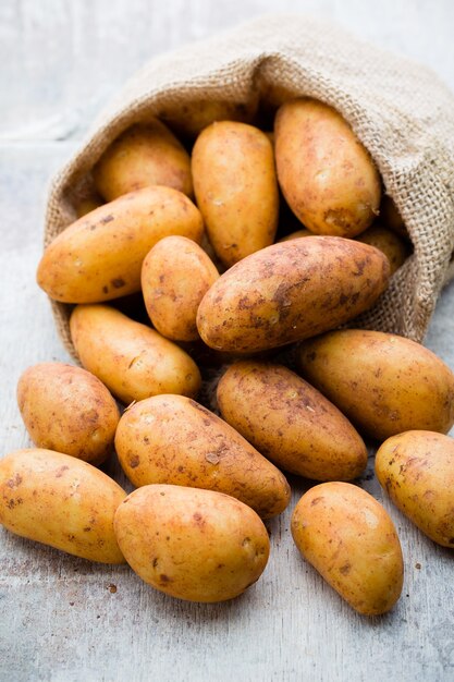 A bio russet potato on grey