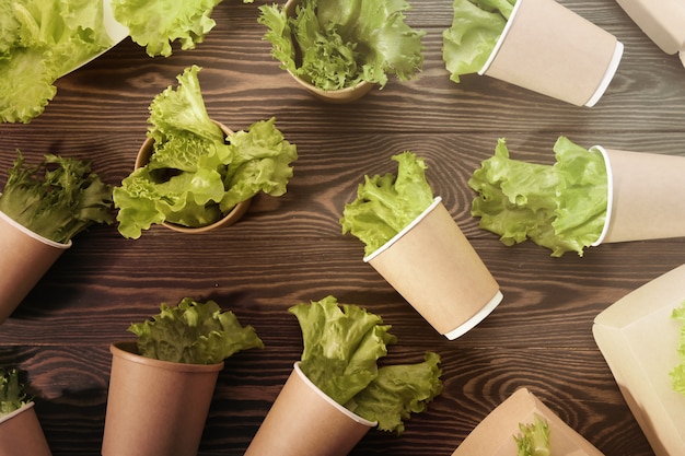 Biodegradable tableware and greens on wooden surface