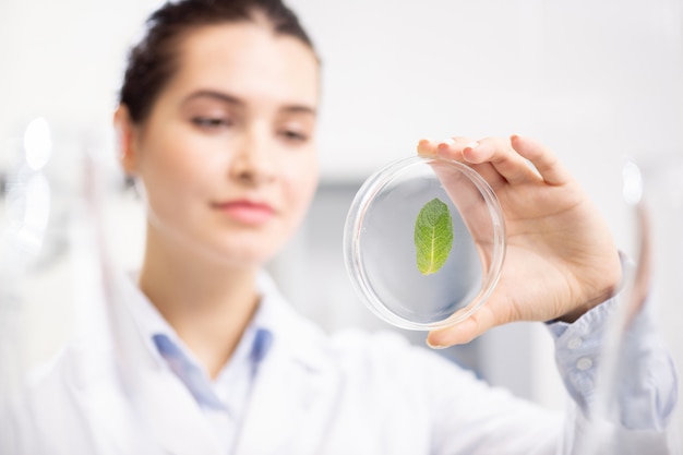 Biological scientist performing laboratory experiment