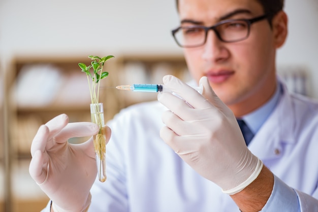 Biotechnology scientist working in the lab