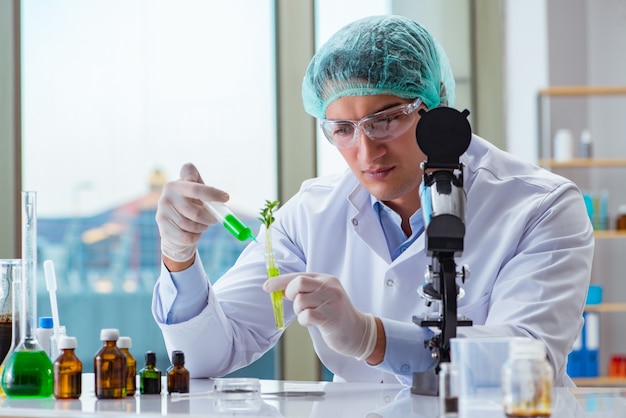 Biotechnology scientist working in the lab