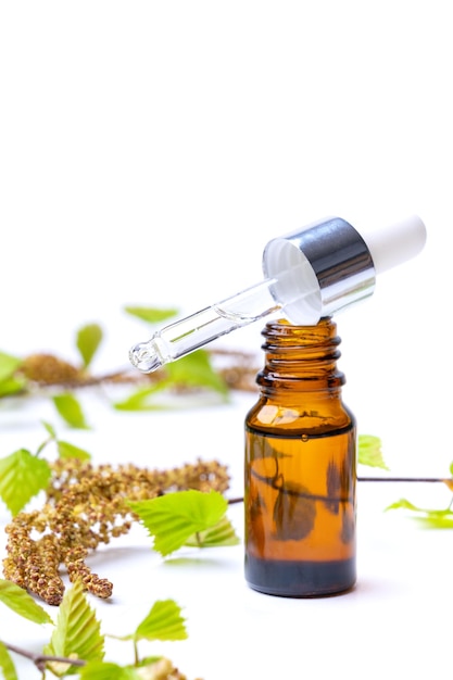 Birch essential Oil for SPA alternative medicine