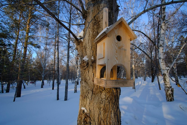 Bird birdhouse on tree in winter public park