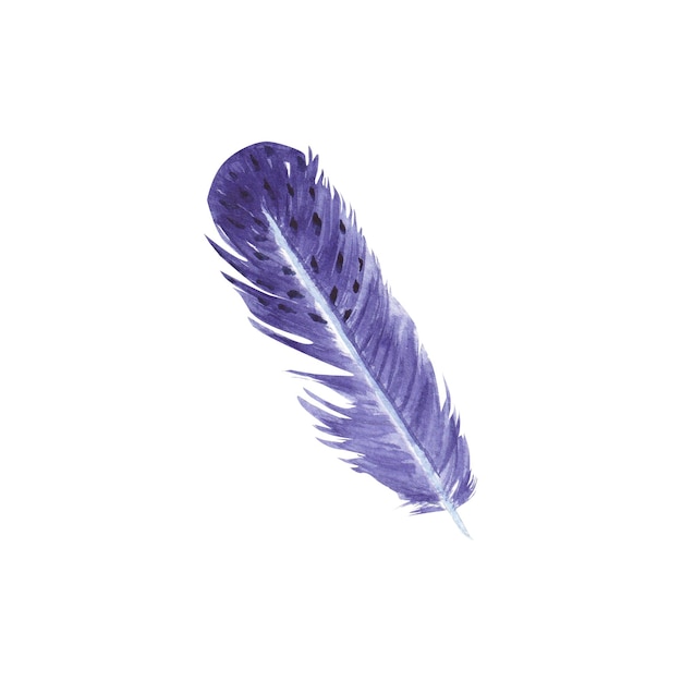 Bird feather in watercolor on a white background Blue jay feathers plumage illustration Two elements on a white background Suitable for postcards design packaging textiles printing clothing