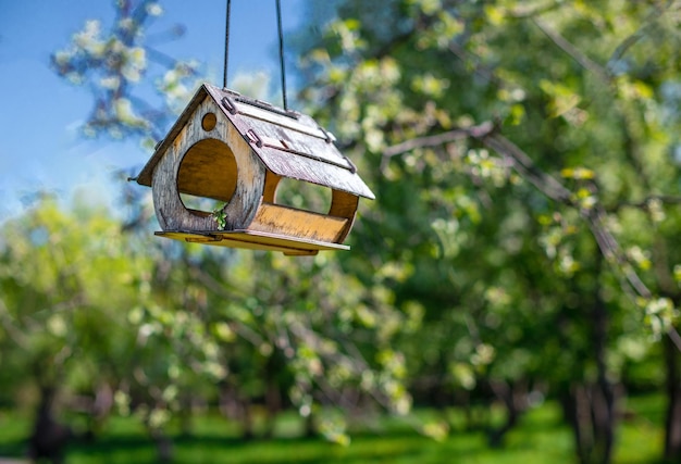 Bird feeder hanging on apple tree Branch of apple tree with bird house Nest box in public park for b