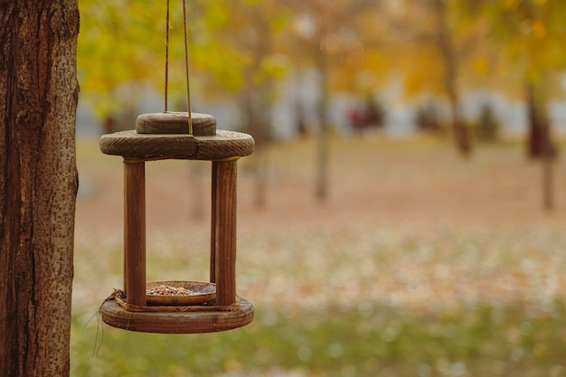 Bird feeder on a tree