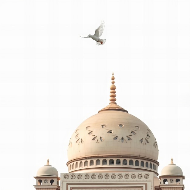 Photo a bird flying in front of a building with a bird flying in the sky