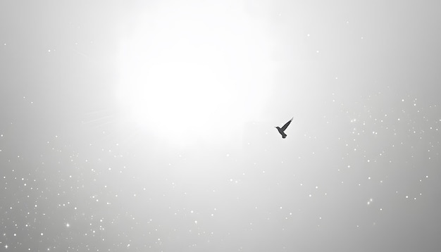 a bird flying in the sky with a sun shining through it