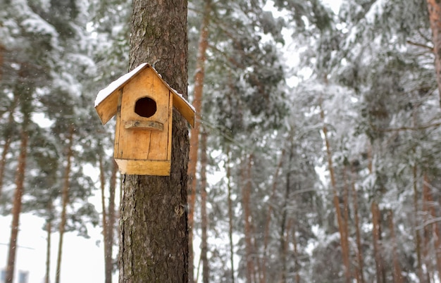 A bird house hangs on a tree trunk in winter forest