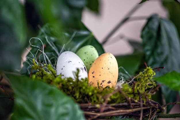 Bird nest with colored Easter eggs on branches of green trees easter decoration selective focus