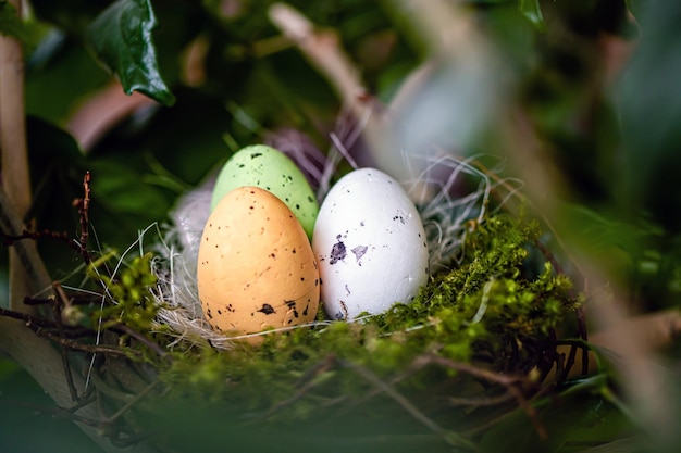 Bird nest with colored Easter eggs on branches of green trees easter decoration selective focus