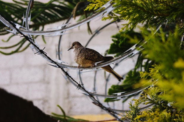 Bird perching on a branch