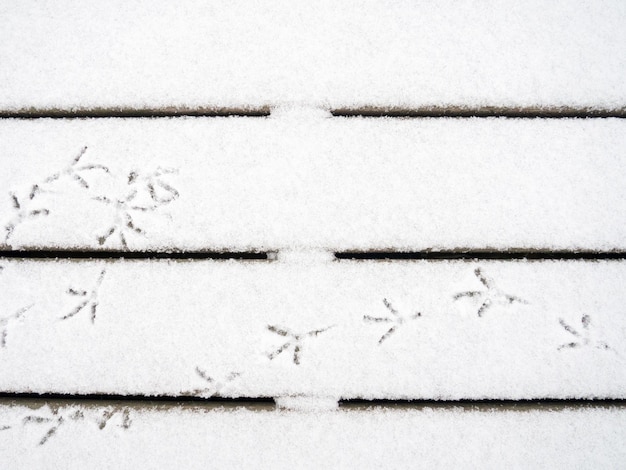 Bird tracks in the snow A pattern of footprints Doves walk in the snow