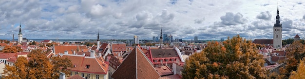 Bird view of historic city center of Tallinn Estonia and modern town behind Autumn trees towers and