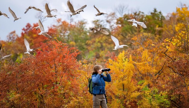 Photo bird watchers observing migratory birds in an autumnal forest using binoculars