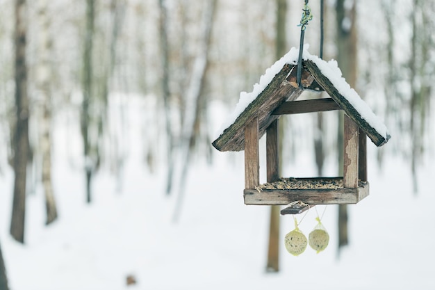 Birdhouse and bird feeder in winter park