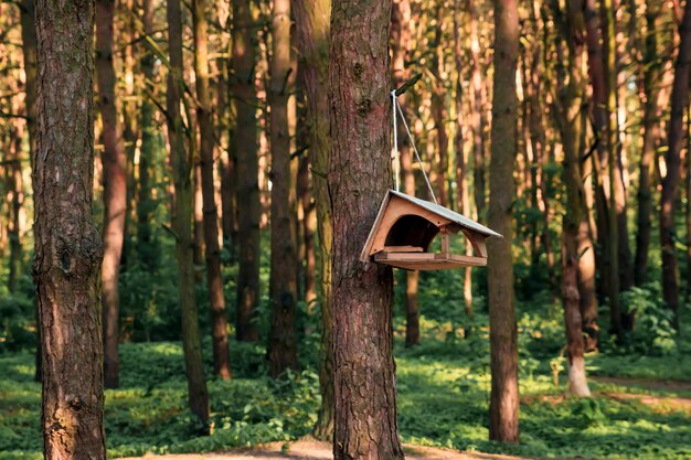 Birdhouse on a tree in forest Park , hand wood shelter for birds to spend the winter