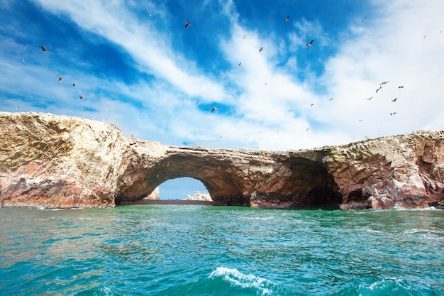 Birds in Ballestas Island ParacasPisco PeruxAxA