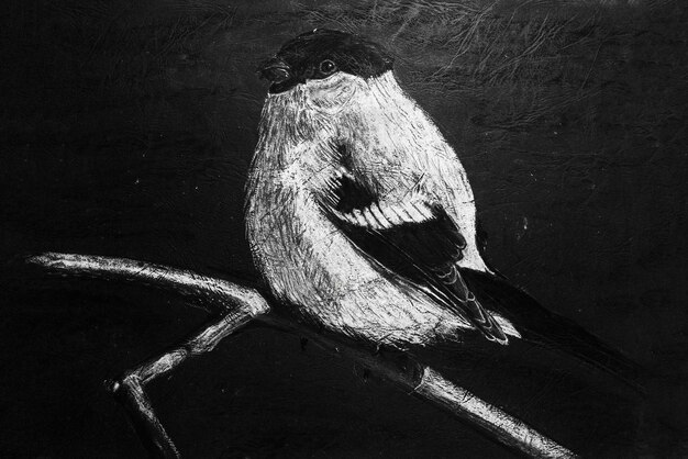 Birds on beaches drawing by hands with black and white charcoal on textured matte paper